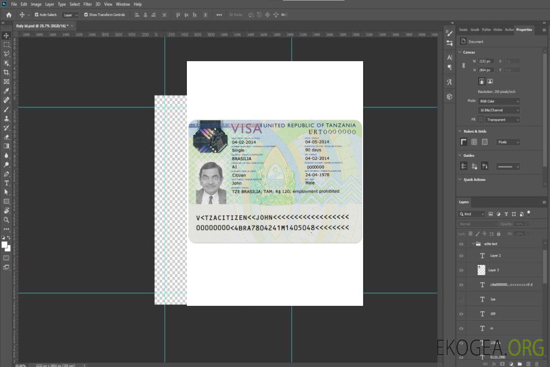 Visa TANZANIE template